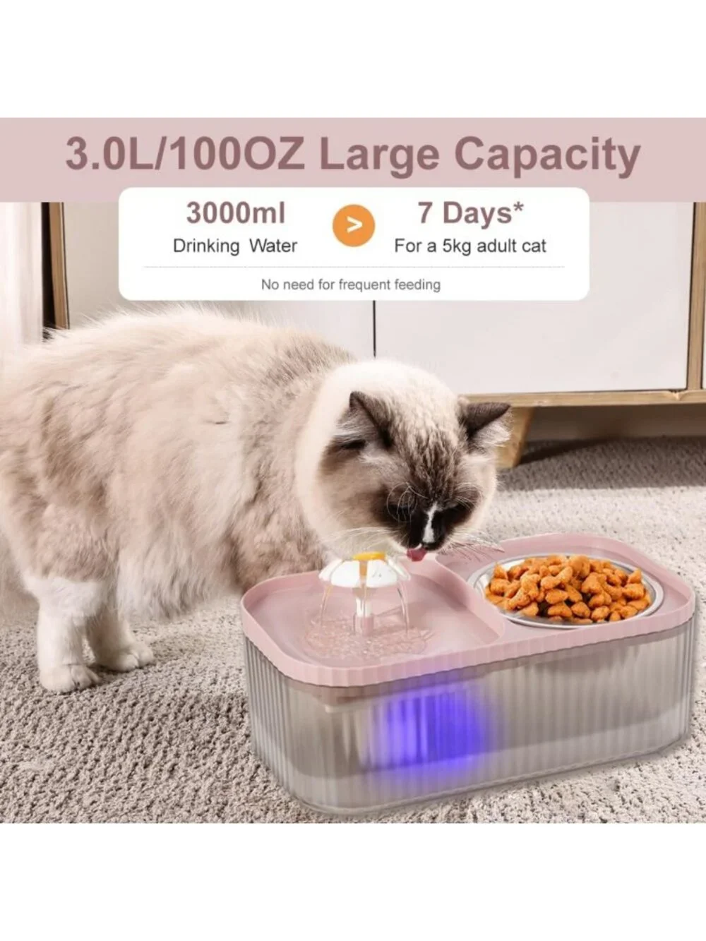 Super Quiet Cat Water Fountain & Stainless Steel Food Bowl, 100oz Automatic